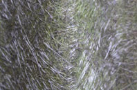 Teesville fibreglass roof work